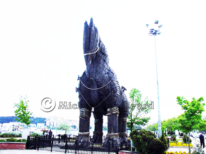 Copy of Wooden Horse for the film Helen of Troy